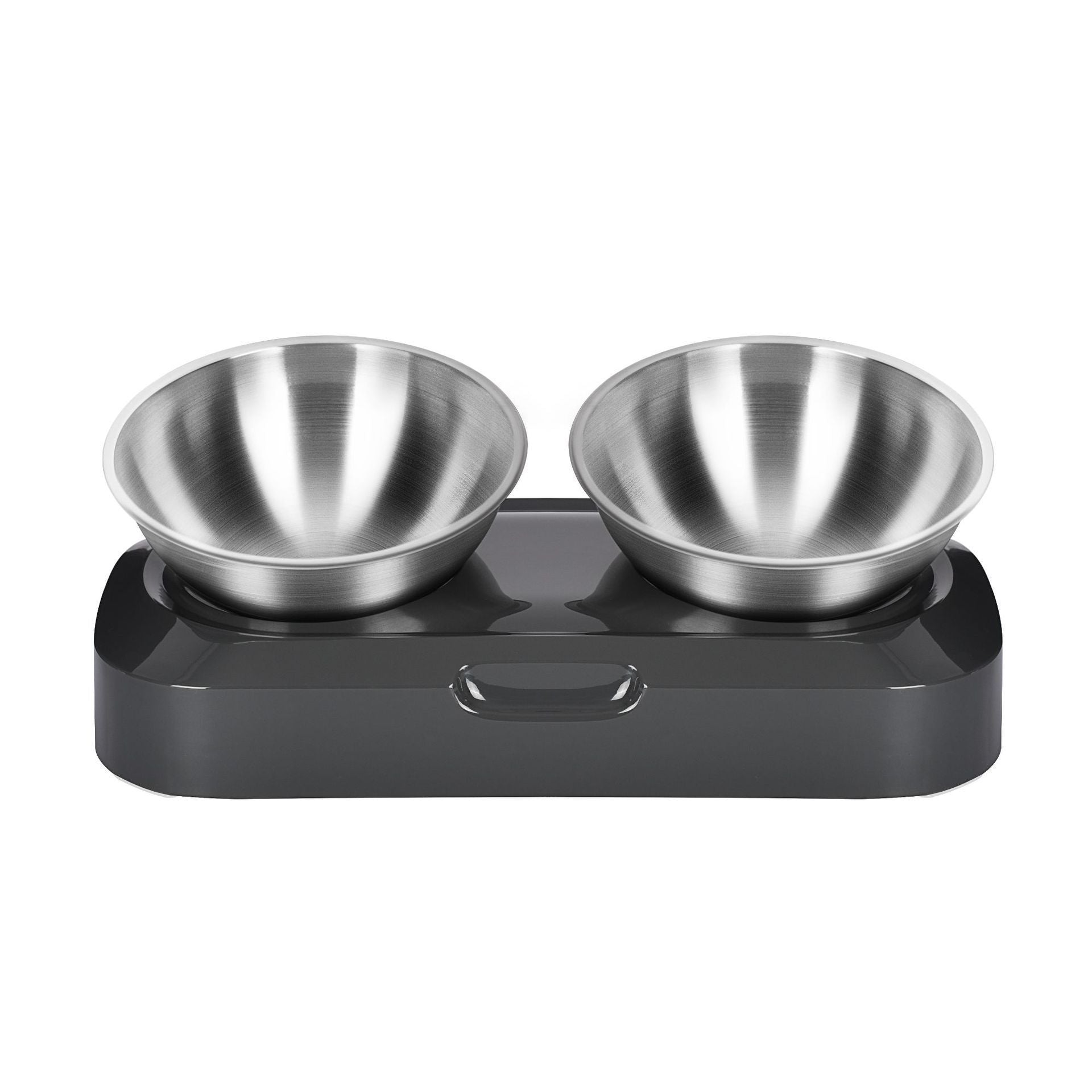 Stainless Steel Pet Feeder Slanted Neck Bowl