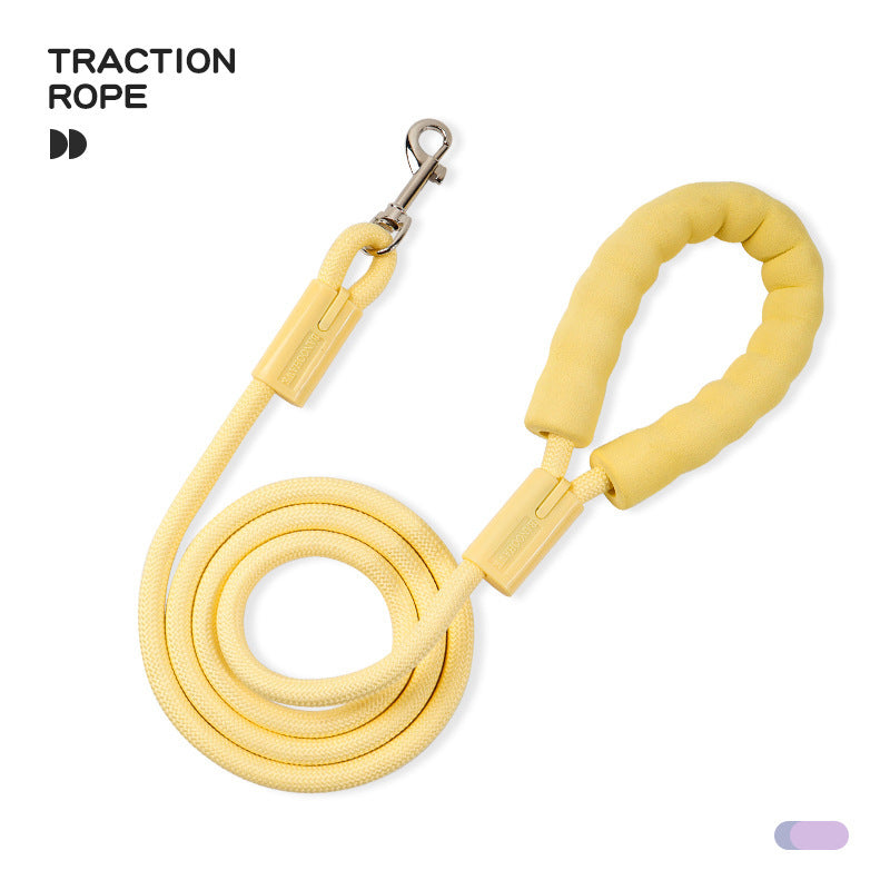 Colorful Nylon Dog Walking Leash