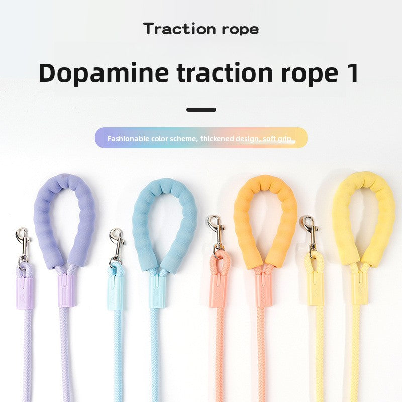 Colorful Nylon Dog Walking Leash