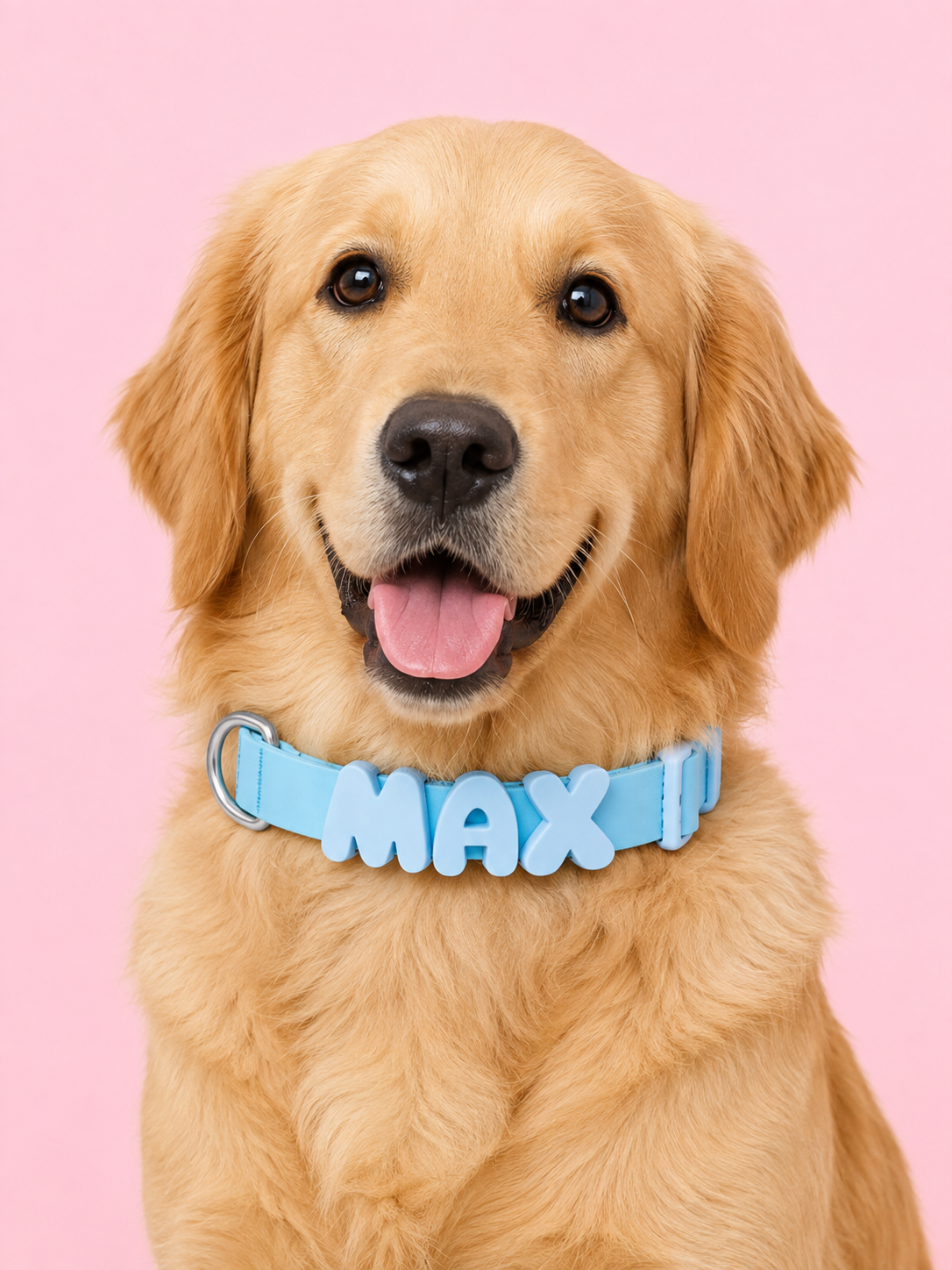 Silicone Pet Collar with Alphabet Letters