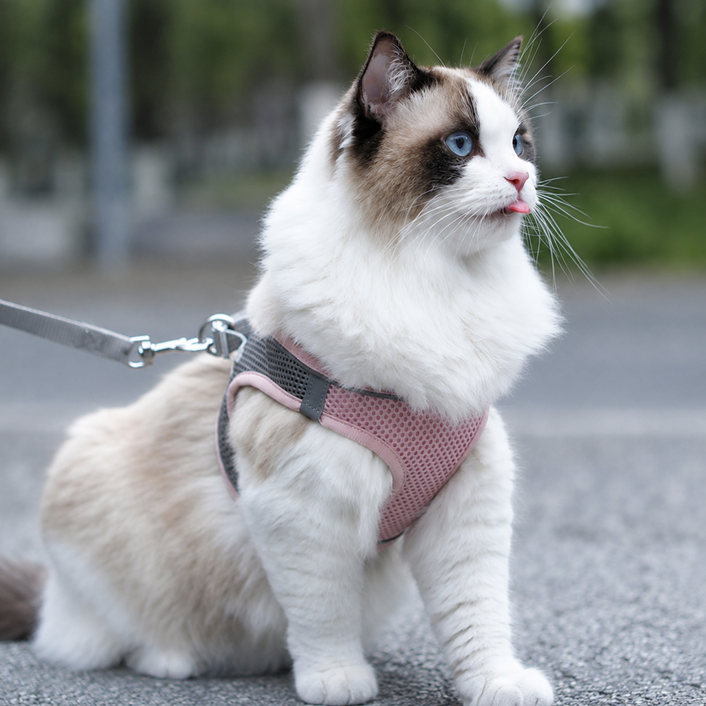 Adjustable Reflective Cat Leash with Safety Buckle