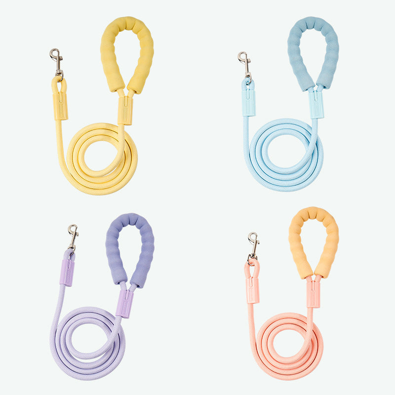 Set of five colorful dog leashes with matching carabiners on a white background